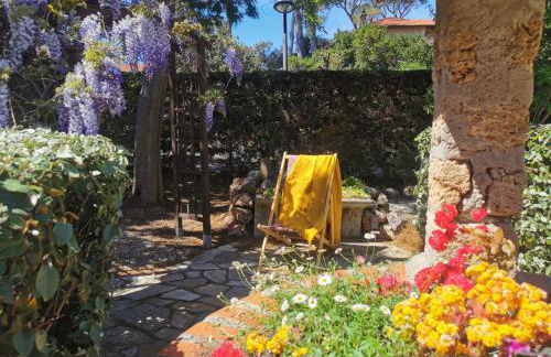 Lou Pitchoun - Foto 21