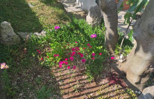 Apartman Vito - Foto 22