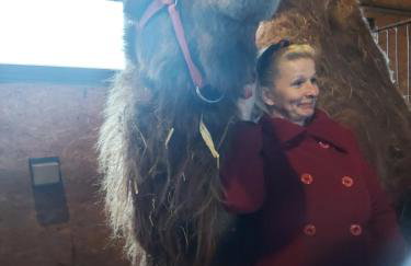 Pensjonat Przy Stajni - Foto 19