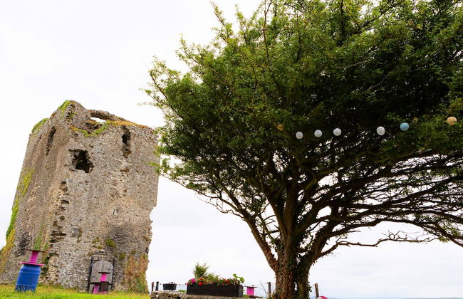 Shannon Castle Holiday Cottages - Foto 42