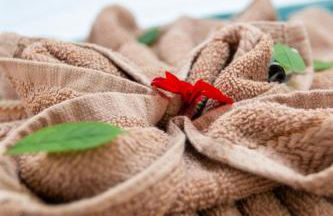 Balisier Maison Jacuzzi luxe privatif à 15min de Disneyland Paris - Foto 18