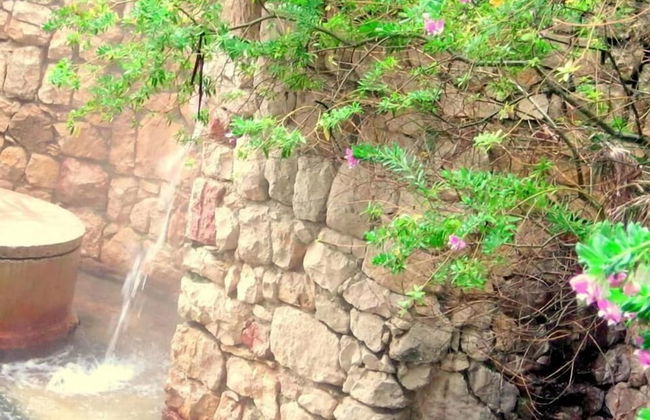 Terme Acqua Pia Wellness & SPA - Foto 32