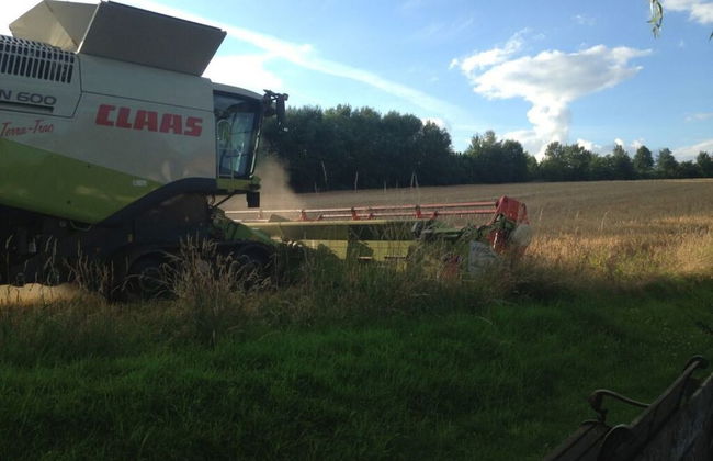 "weserbergland" Modern Retreat - Foto 20