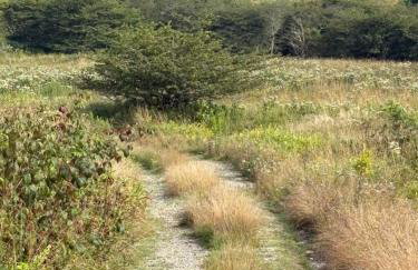 Rocky Top Mountain Getaway - Foto 69