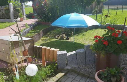 Ferienhaus Zillendorf - Foto 39