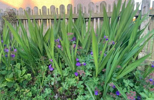 2-Bed Cottage Sleeps 5 - Pets Ok - Free Parking - Foto 20