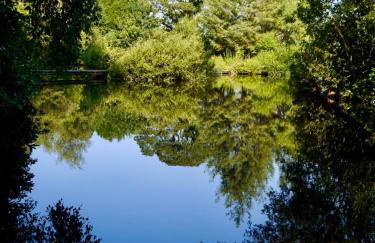 The Ferny Hoolet - Foto 26