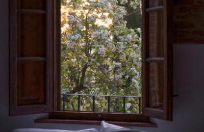 Villa Cozzano - Foto 8