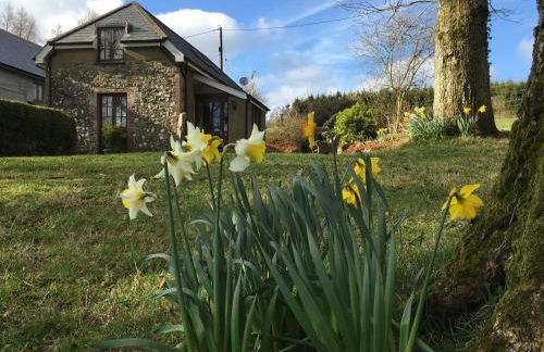 Meadow Sweet Cottage - Photo 1