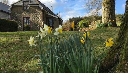 Meadow Sweet Cottage - Foto 1, Garden, Garden view