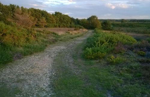 Family friendly sunny Log Cabin - Photo 18