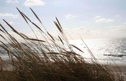 Süderhof Apartment 1 - Foto 27