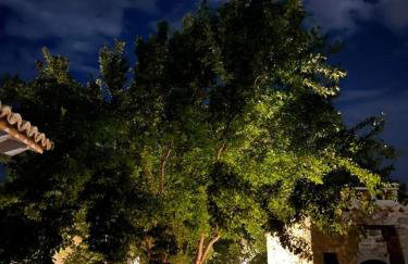 Aνεξάρτητη παραδοσιακή πέτρινη κατοικία - Foto 14