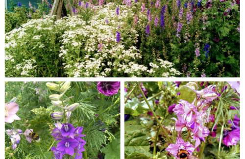 Oase der Geborgenheit - Foto 43