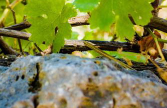 Malaxiana Houses - Photo 9