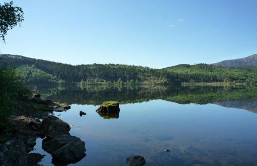 Caledonian Cabin - Photo 75