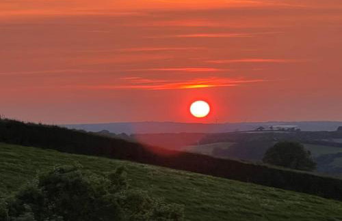 Country garden lodge on Devon Cornwall border - Foto 12