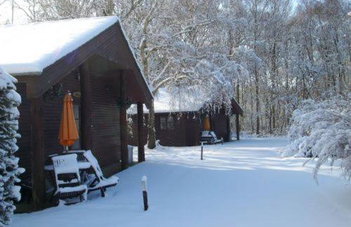 SILVER BIRCH - 2 Bedroom Lodge - Foto 2