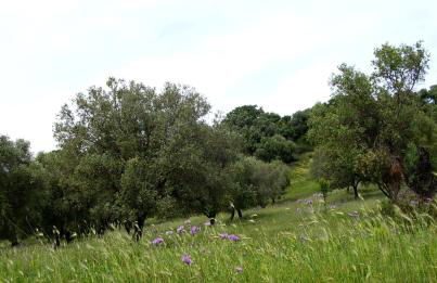 Agriturismo biologico 'A Lanterna - Foto 65