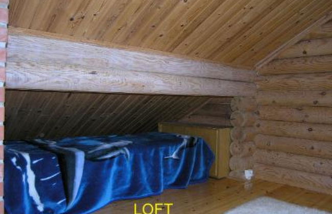 Koivurinne - Foto 14