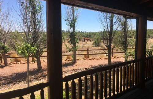 Cabin with Wild Horses, Fireplace, Dog Friendly & StarLink - Foto 29