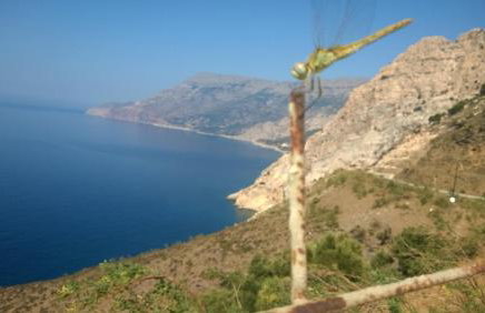 Ikaria Studios - Photo 61