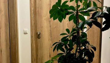 FeWo Iller im Allgäu - Foto 4