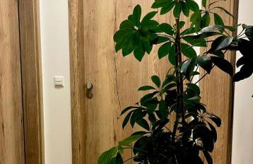 FeWo Iller im Allgäu - Foto 4