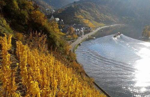 Ferienwohnung Klemm, Burgen /Untermosel - Foto 19