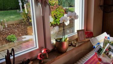 FeWo Fanissimo - Foto 5, Garden view