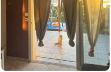 villa sun view - Foto 24