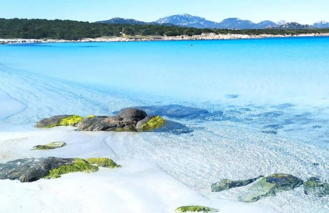 Porto Rotondo - Appartamento in Centro, 8 Minuti Da Spiaggia Ira - Foto 20