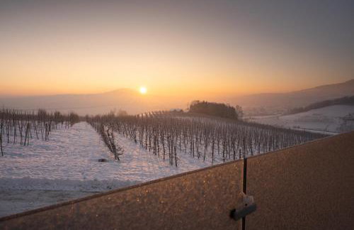 Owocowe Wzgórze - Foto 16