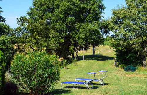 Golden Valley apartment & ranch - Foto 65