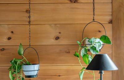 The Lily Pad - Hunter NY - Foto 25