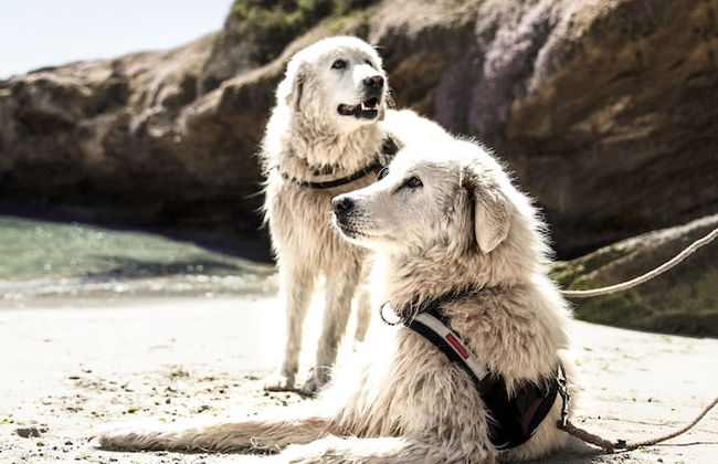 Apartments 521 - Foto 44