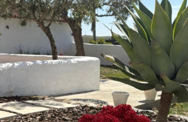 Canto da Planície - Photo 39