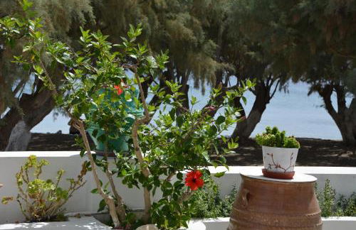 Maganas Hotel - Foto 49