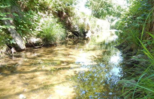 Ferienwohnung Am Feldbach - Foto 7