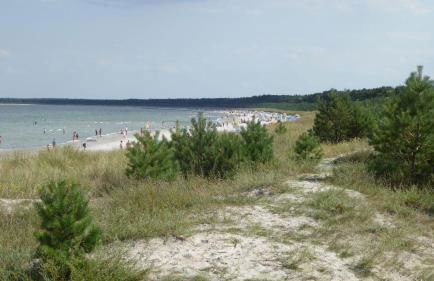 Gut-Rattelvitz-Galerie-D-hochwertig-Sauna-Kamin-eTankstelle-Spielscheune-15-000qm-Parkland - Photo 25