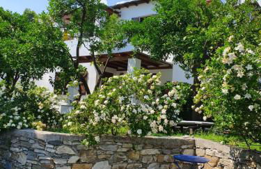 Aeolos Hotel & Villas - Pelion - Foto 53