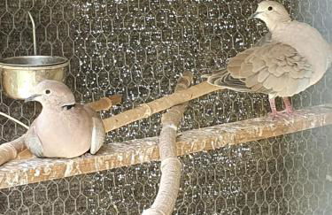 GÎTE Le REFUGE - Photo 7