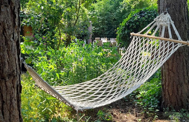 Oud-turnhout Nature Chalet - Foto 32