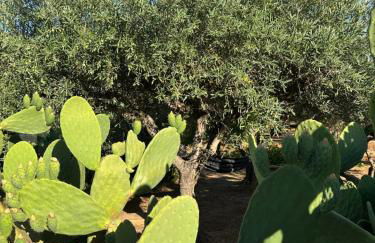 Villa Tosto - Foto 32