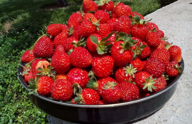 Noi Parliamo Italiano Apartamento - Photo 20