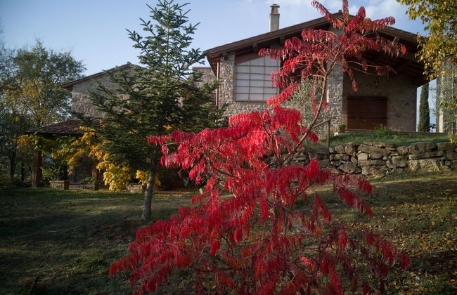Agriturismo Casa Greppo - Il Noce - Foto 51