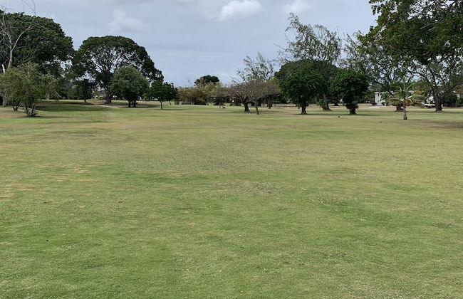 Moonshine 316 Rockley Golf Club - Foto 24