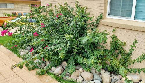 My Cozy Duplex A in the Heart of West Side - Foto 5