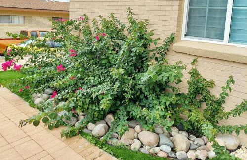 My Cozy Duplex A in the Heart of West Side - Foto 5