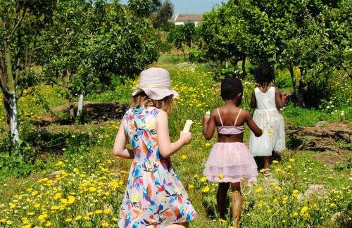 Chitaka's Organic Farmhouse in Ribatejo - Foto 17